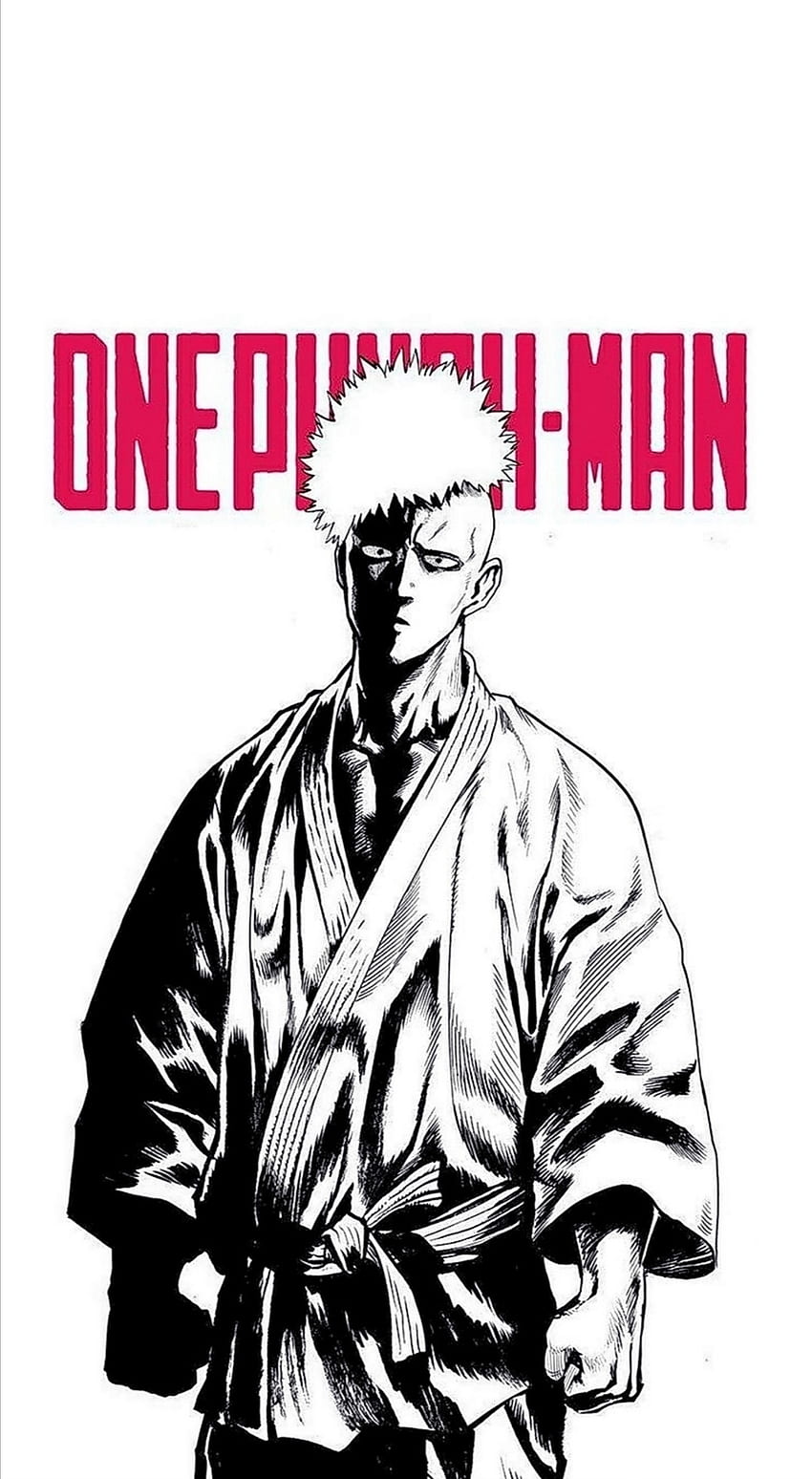 One Punch Man, Manga, Anime HD-Handy-Hintergrundbild