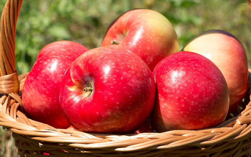 Red shiny apples - graphy HD wallpaper