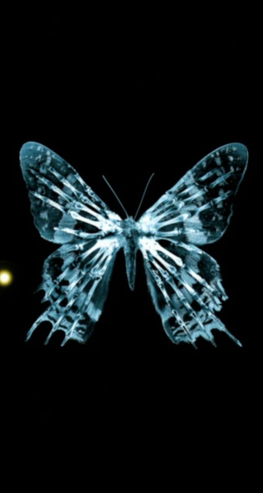 Schmetterling iPhone 5s iPhone , iPad - Schmetterlingseffekt - & Hintergrund HD-Handy-Hintergrundbild