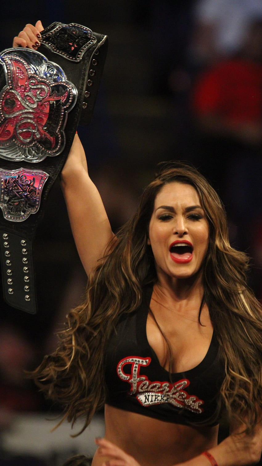 Nikki bella, diva della WWE, lottatrice Sfondo del telefono HD