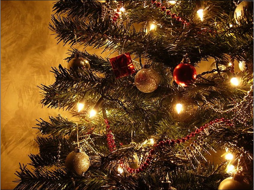 dekoracja świąteczna, dekoracja, ładna, światła, dekoracje, choinka, drzewo Tapeta HD