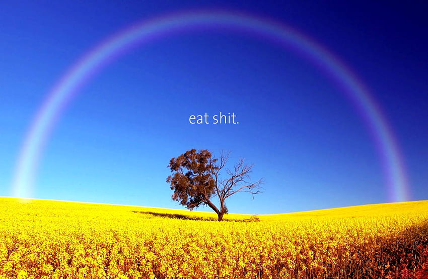 Landscape Quote Demotivational Humor Rainbows - Offensive Phone HD wallpaper