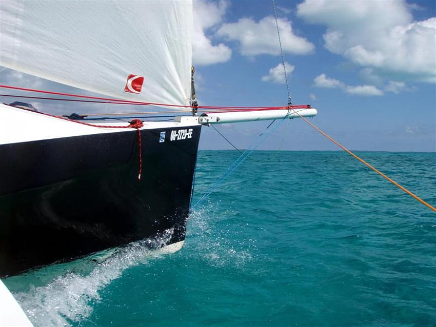 Sail Away With Me!, sail, sailboat, ocean, cruise HD wallpaper