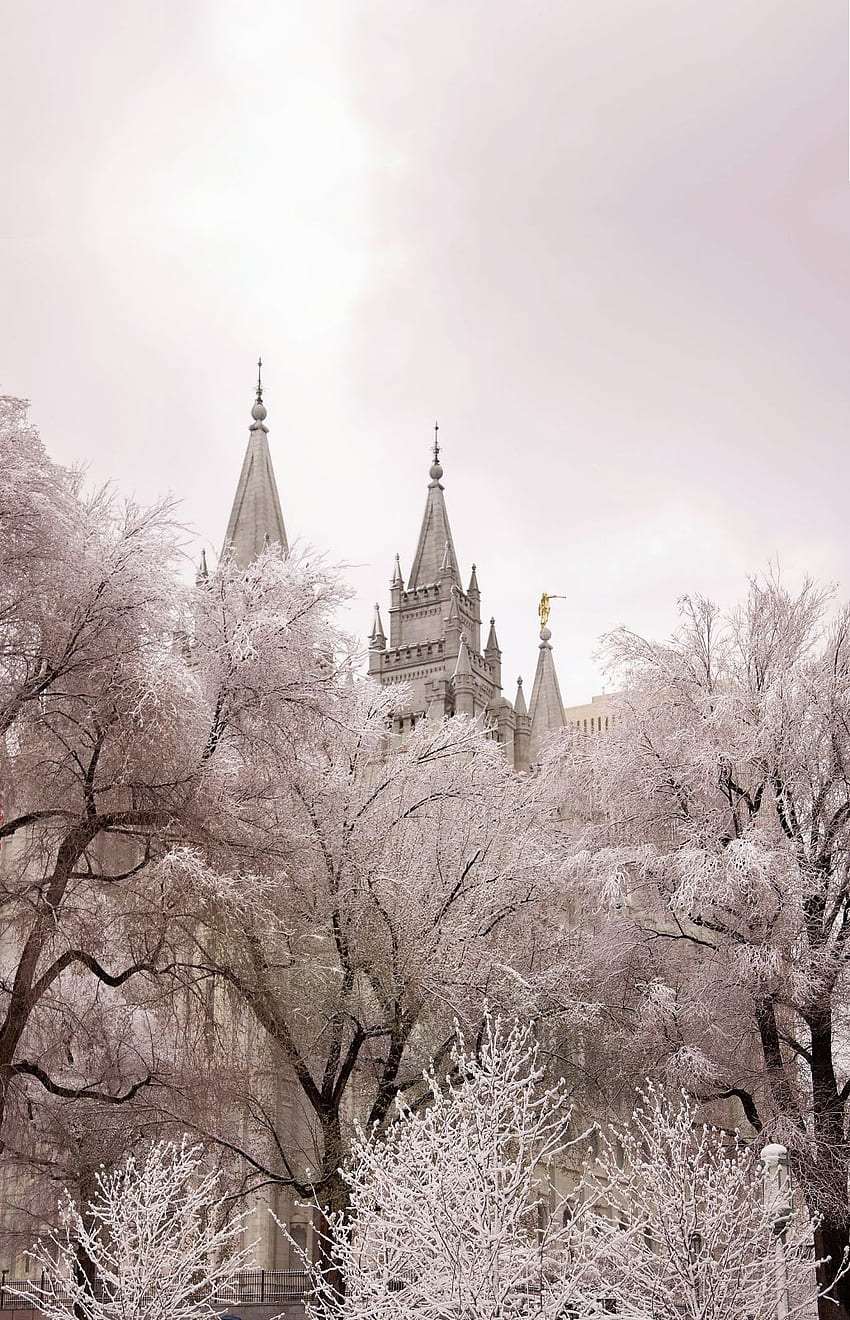 Frosty Morning Salt Lake Temple Lds 822349 1 030 × 1 600, iPhone LDS Fond d'écran de téléphone HD
