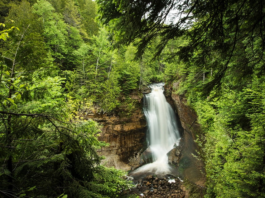 Forest Falls,Michigan, falls, creek, usa, stones, rock, waterfall, trees, nature, forest HD wallpaper