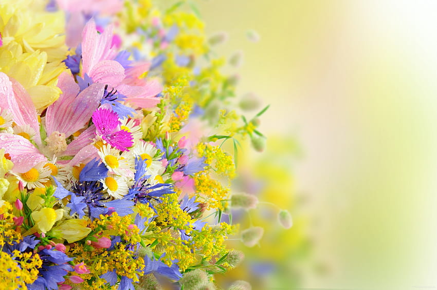 Fine Flowers Background Pretty Flowers HD wallpaper | Pxfuel