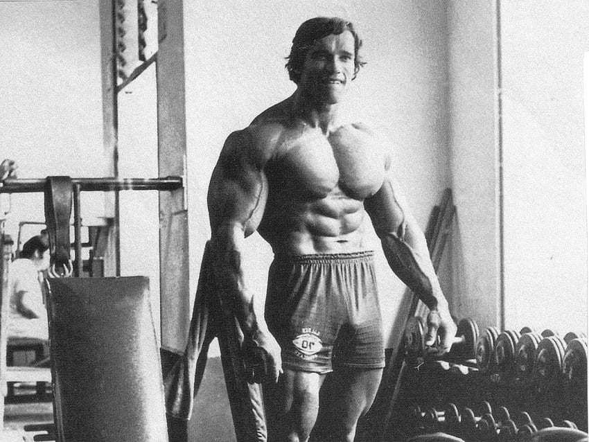 Arnold Schwarzenegger, Arnold Schwarzenegger, bodybuilding HD wallpaper