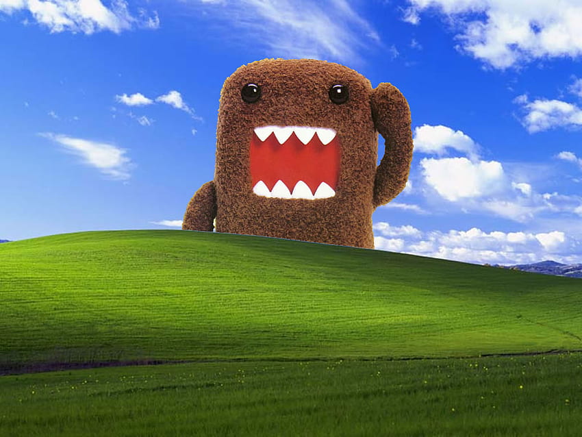 Domo 1080P 2K 4K 5K HD wallpapers free download  Wallpaper Flare