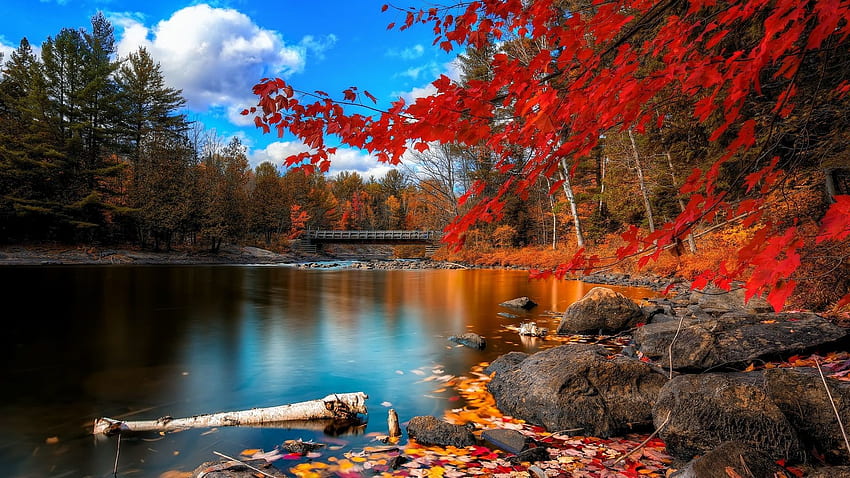 秋の紅葉、バーモント州の紅葉 高画質の壁紙