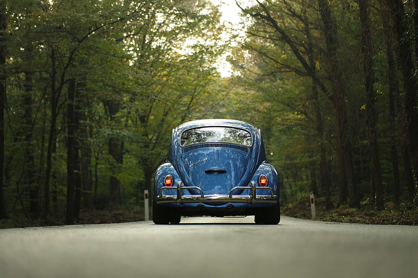 auto, auto d'epoca, foresta, all'aperto, strada, viaggiare, alberi, veicolo, vintage, volkswagen, volkswagen beetle. Fantastico per me! Sfondo HD