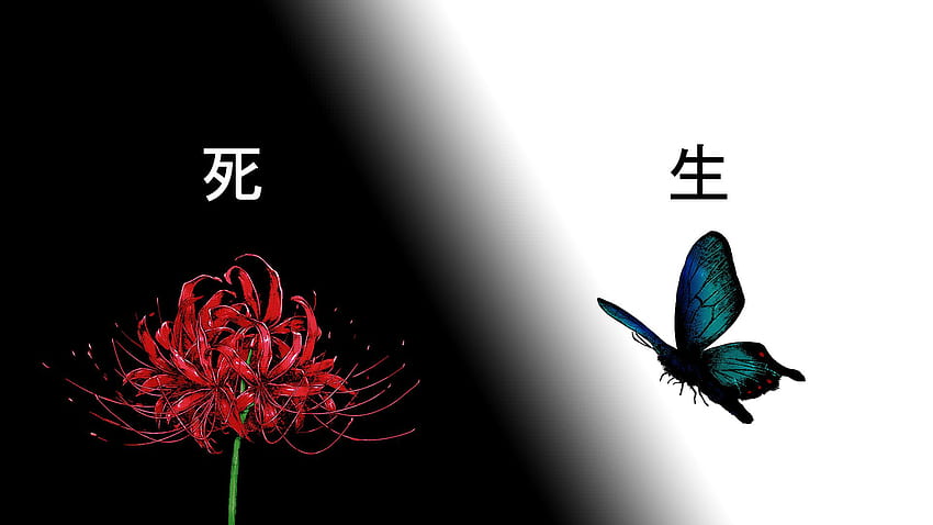 Quel est le symbolisme derrière la fleur et le papillon ? : R TokyoGhoul, Lycoris Radiata Fond d'écran HD