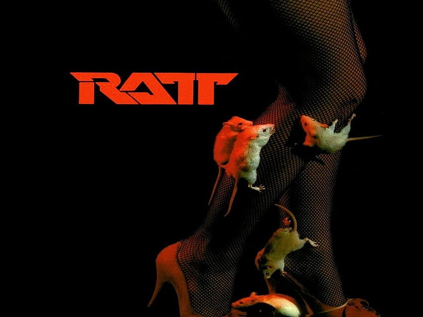 Ratt, Ratt Band HD wallpaper
