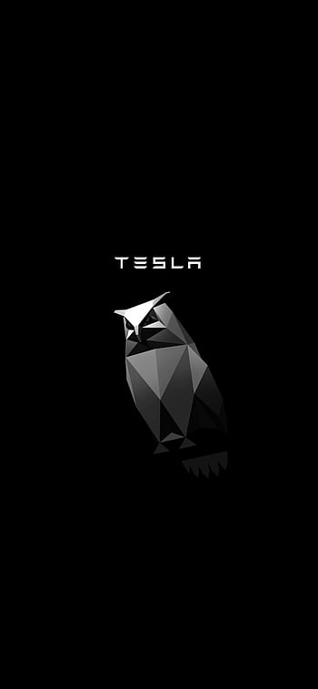Best Tesla logo iPhone HD Wallpapers  iLikeWallpaper