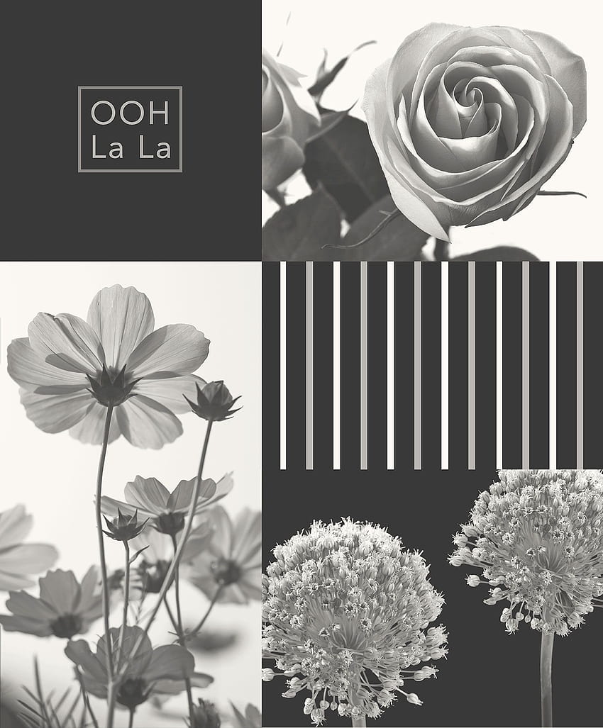 Coco By Crown Collage Flower Floral Roses Black White Silver 5010213012849 HD phone wallpaper