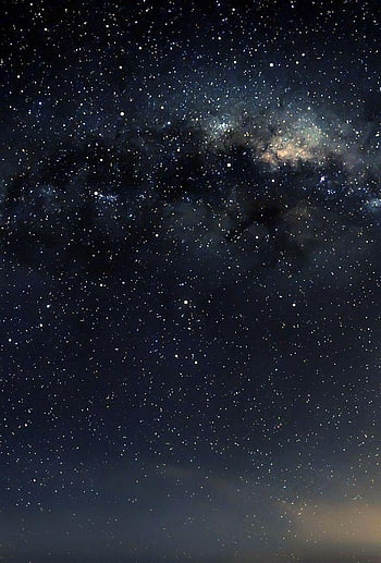 Wallpaper Tree Under Night Sky, Tree, Night, Star, Atmosphere, Background -  Download Free Image