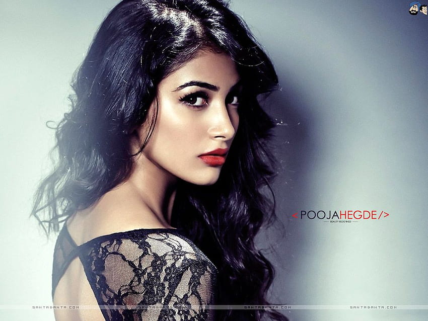 Hot Bollywood Heroines & Actresses I Indian, Pooja Hegde HD wallpaper