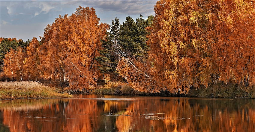 lakeside trees, autumn, trees, sky, lake HD wallpaper