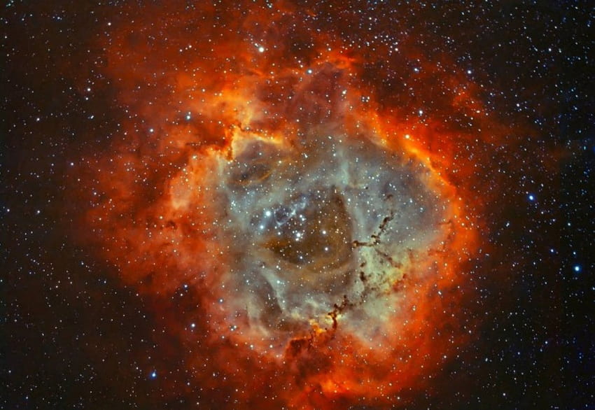 Мъглявината Розета във водород и кислород, галактика, забавление, космос, готино, звезди HD тапет