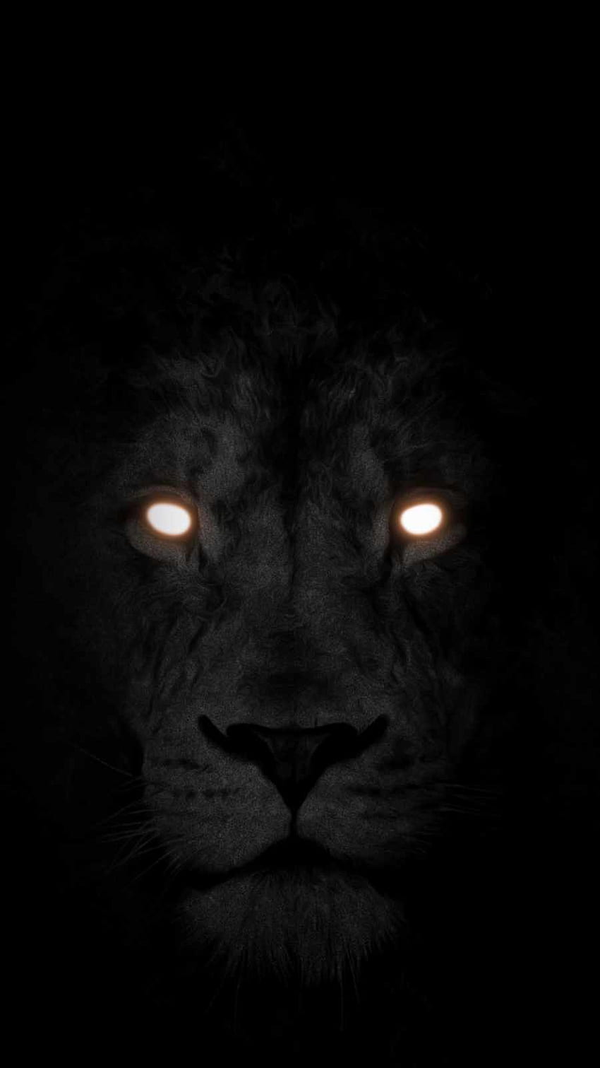 Glow Eye Lion - IPhone : iPhone, Lion Eyes HD phone wallpaper