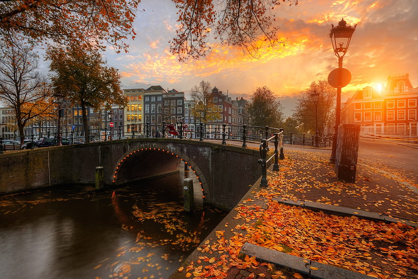 Autumn, The city, Sunset, Foliage, Bridge HD wallpaper