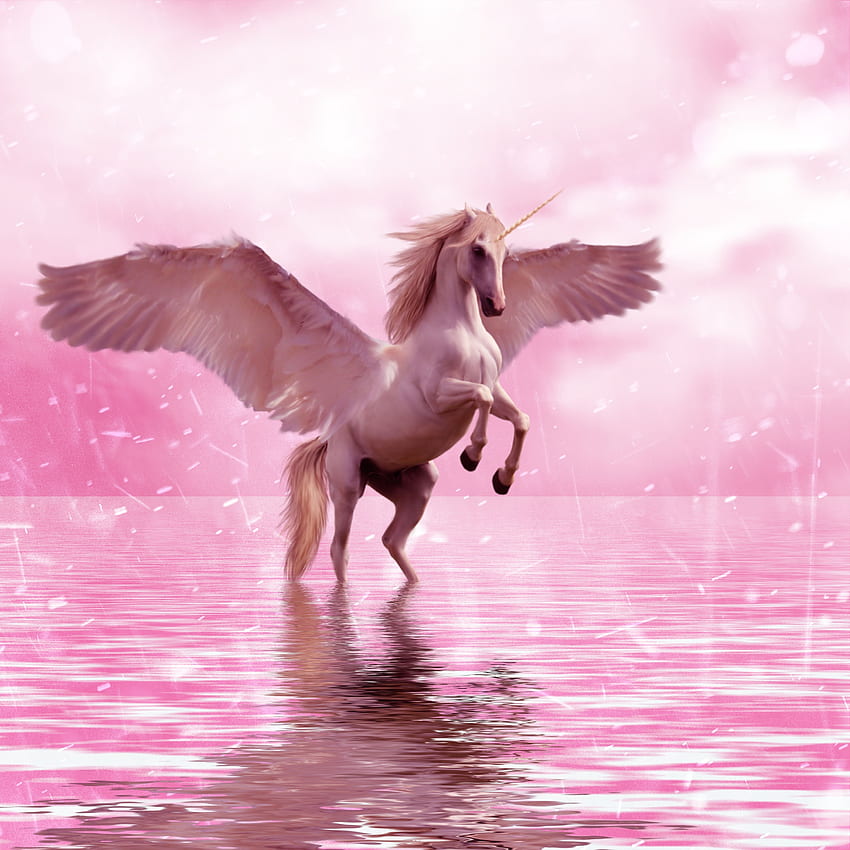 Fantasy, Wings, Horse, Unicorn HD phone wallpaper