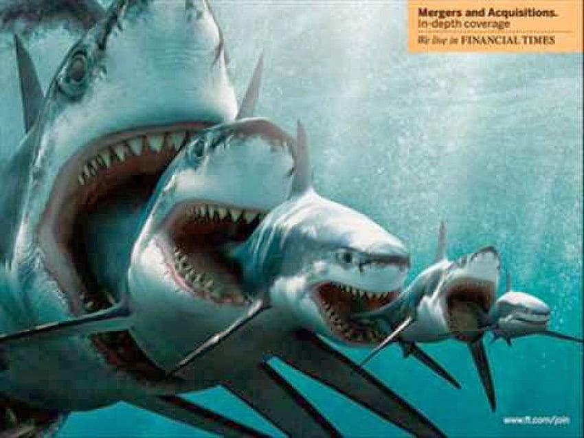 Wall : Megalodon Monster Shark Wall HD wallpaper