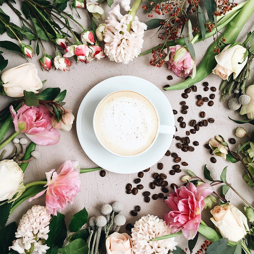 Froth, Spring Coffee HD phone wallpaper