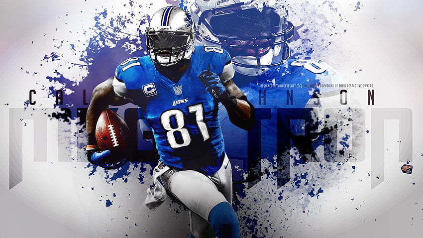 DETROIT LIONS nfl football t wallpaper, 2560x1600, 155103