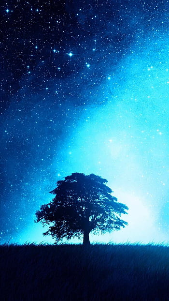 Night Sky Tree . Halloween background, iPhone night sky, iPhone night,  Cartoon Tree HD phone wallpaper | Pxfuel