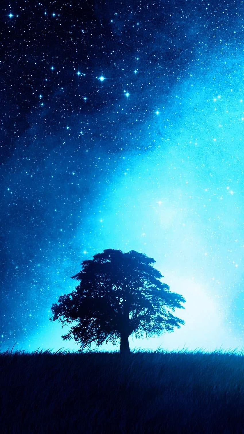 Night Sky Tree . Halloween background, iPhone night sky, iPhone night, Cartoon Tree HD phone wallpaper