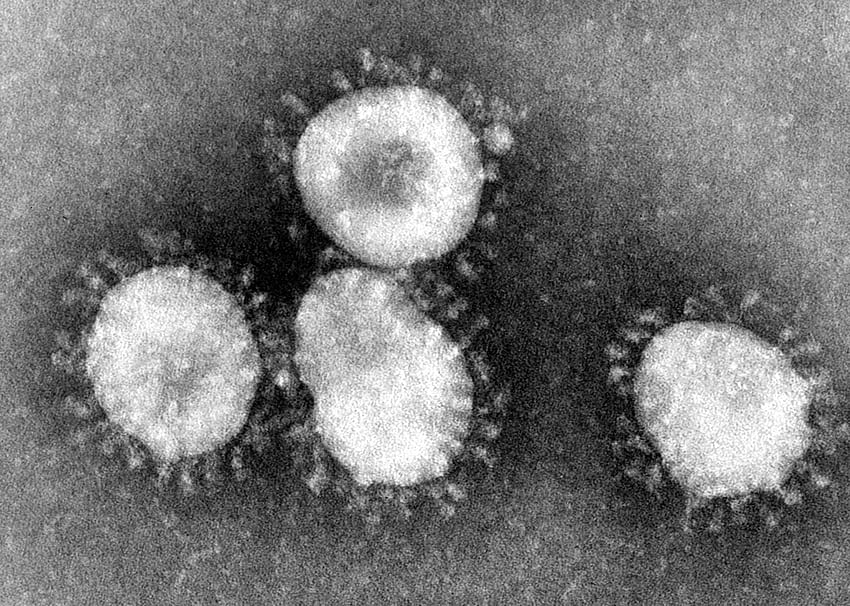Coronavirus Outbreak Could Impact Production of 'iPhone 9' HD wallpaper