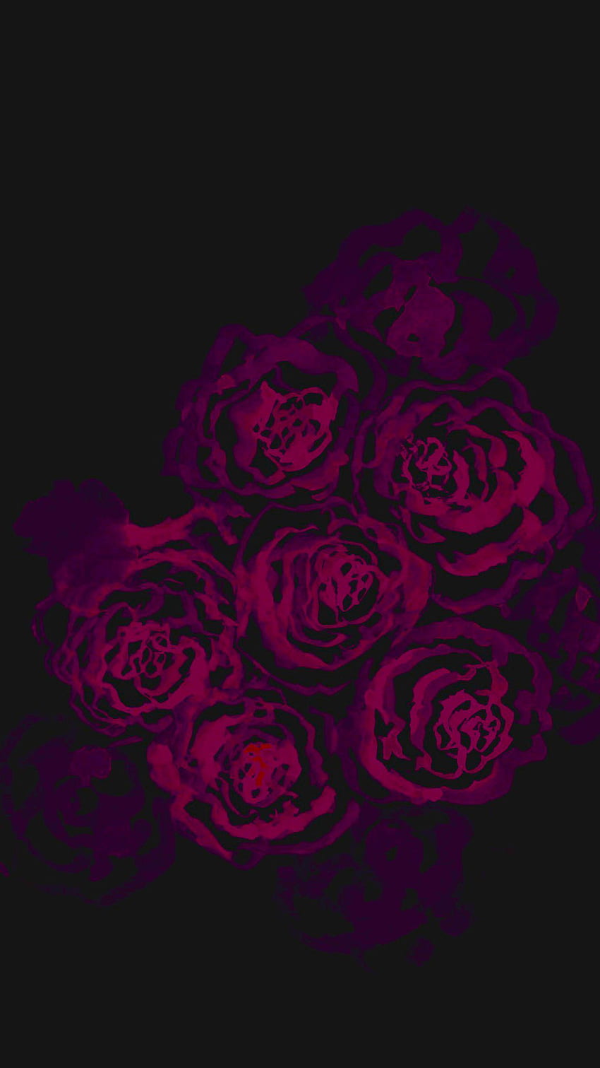 Flowers with Black Background | 100+ best free black, flower, petal, and  dark photos on Unsplash