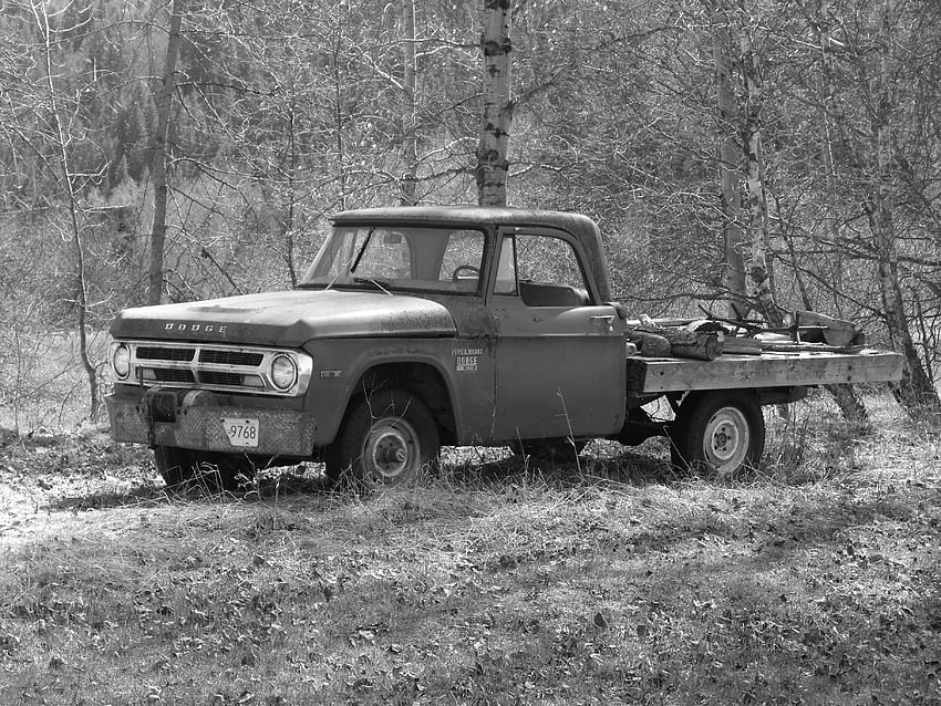 Old Dodge 1/4 Ton B&W, old, white, black, black and white, old truck, trees, dodge, truck HD wallpaper
