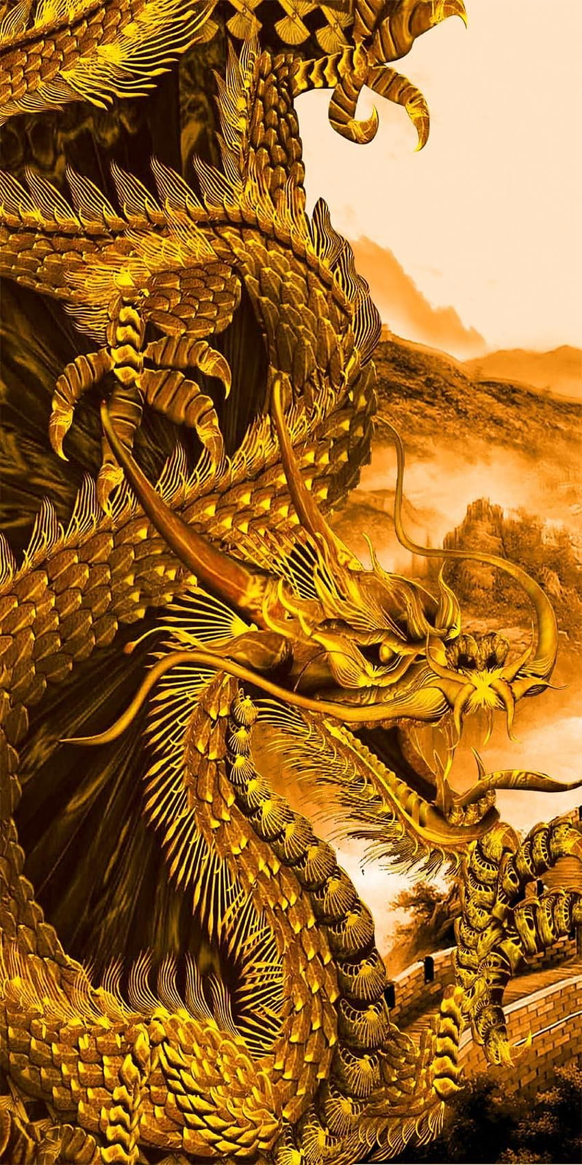 Gold Dragon, Chinese Lion HD phone wallpaper
