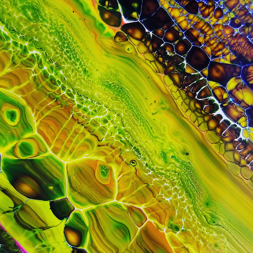ArtAintHard, art, terrestrial_plant, plant, cell, colors HD phone wallpaper