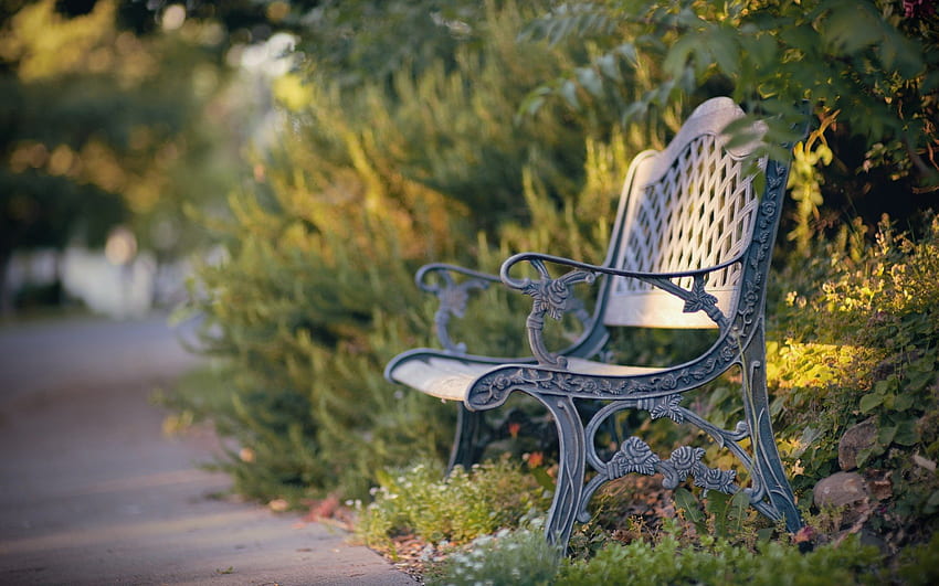 Chair, bench, nature, park HD wallpaper | Pxfuel