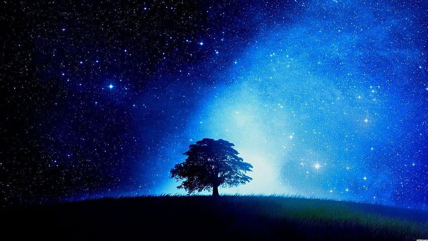 Sternennacht, sternenklarer Weihnachtshimmel HD-Hintergrundbild