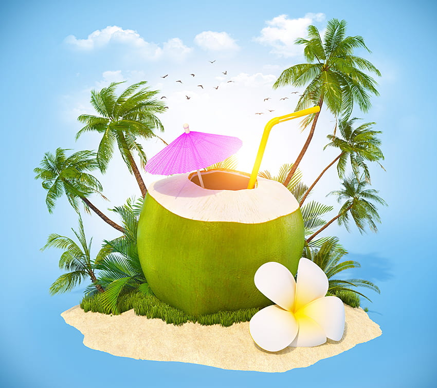 ptak Grafika 3D Palms Island Coconuts parasol Koktajl, napój kokosowy Tapeta HD