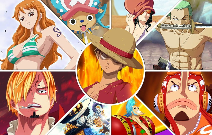 onepiece#fyp#foryou#strawhats#luffy#zoro#sanji#nami#ussop#chopper