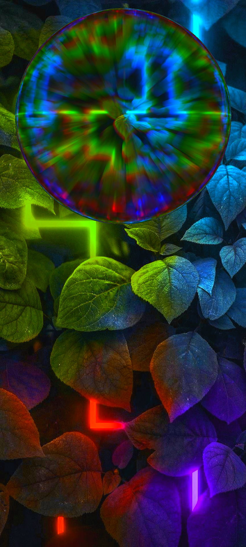 ネオンの葉、カラフルさ、緑 HD電話の壁紙
