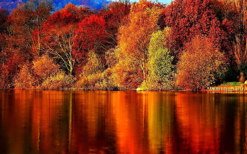 Autumn Wide . ЕСЕН, Fall HD wallpaper
