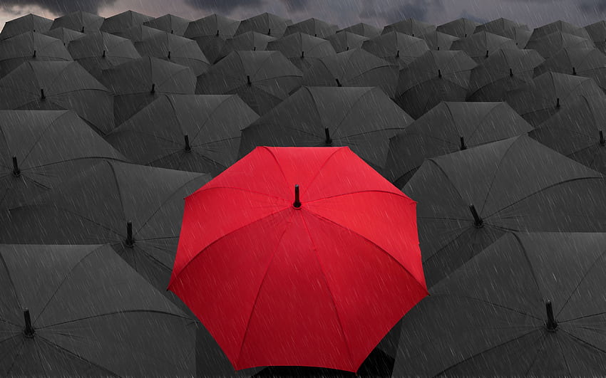 빨간색과 검은색 우산 비, 빨간색과 검은색 울트라 네이처 HD 월페이퍼