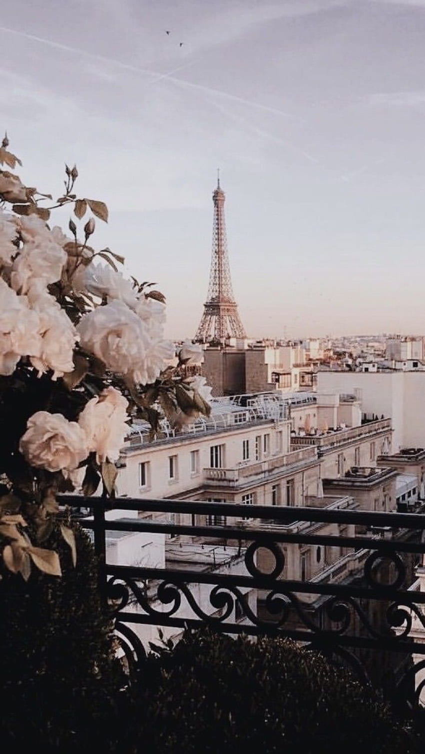 Share 66+ paris aesthetic wallpaper - in.cdgdbentre