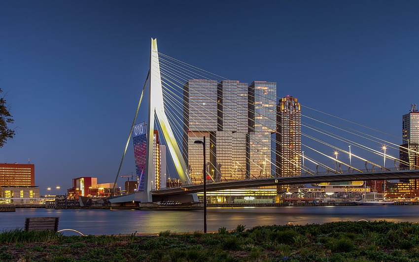 Rotterdam, , Erasmusbrug, pont basculant, pont Erasmus, paysage urbain de Rotterdam, panorama de Rotterdam, Pays-Bas Fond d'écran HD