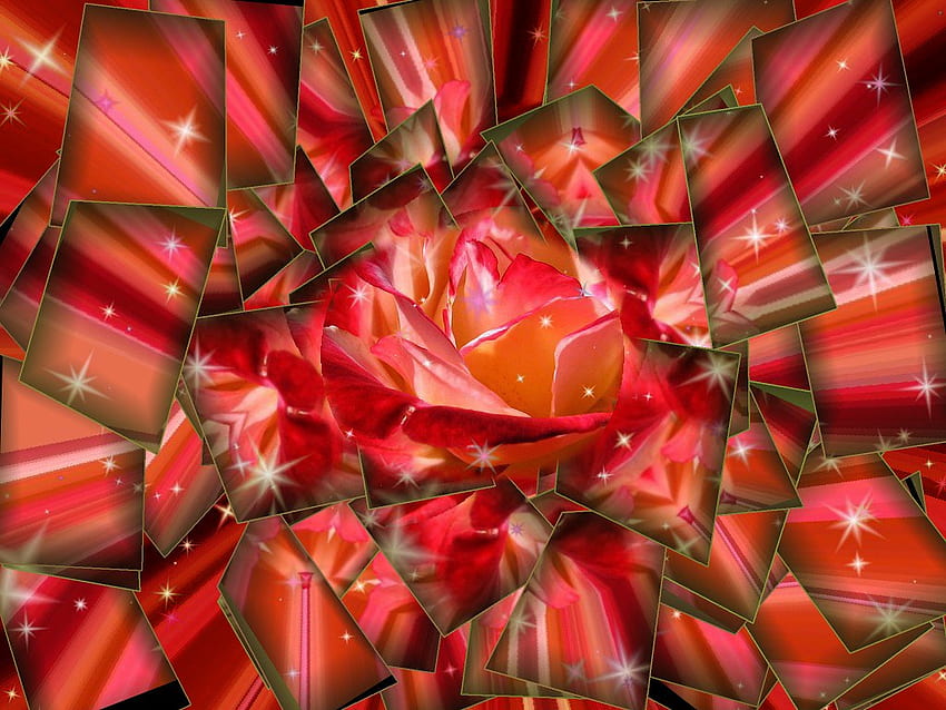 Georges Braque Styling of Candie's Rose in a Sparkling Kal HD wallpaper