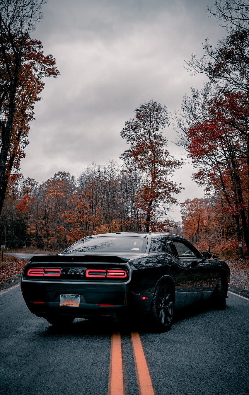 1080x1920  1080x1920 dodge challenger dodge cars hd behance for Iphone  6 7 8 wallpaper  Coolwallpapersme
