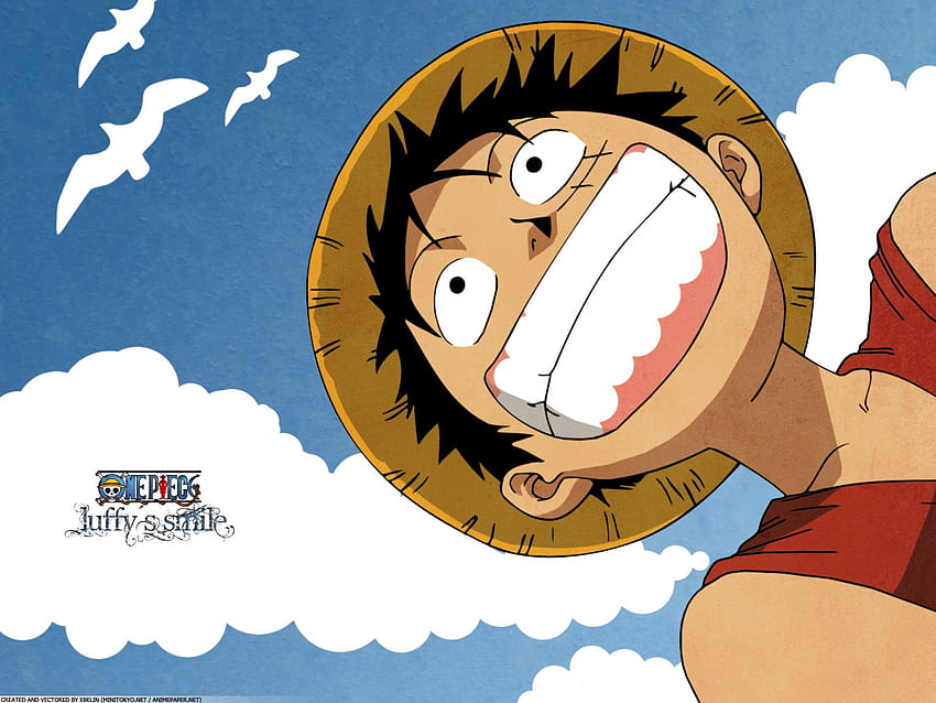 One Piece: La sonrisa de Luffy fondo de pantalla