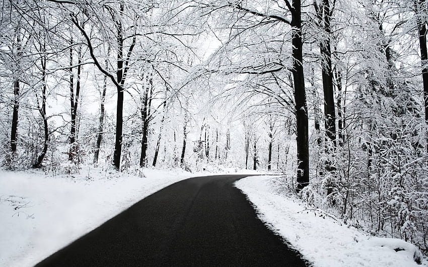 Снеговалеж, снежен пейзаж HD тапет