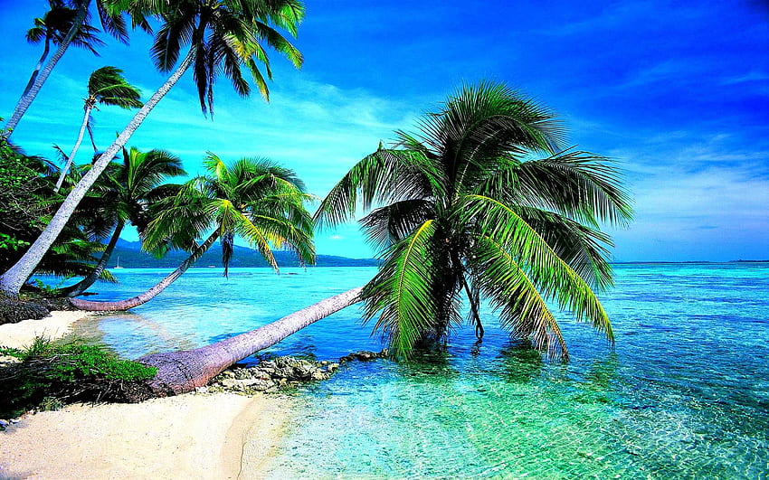 playa tropical [] :, Playa de Costa Rica fondo de pantalla