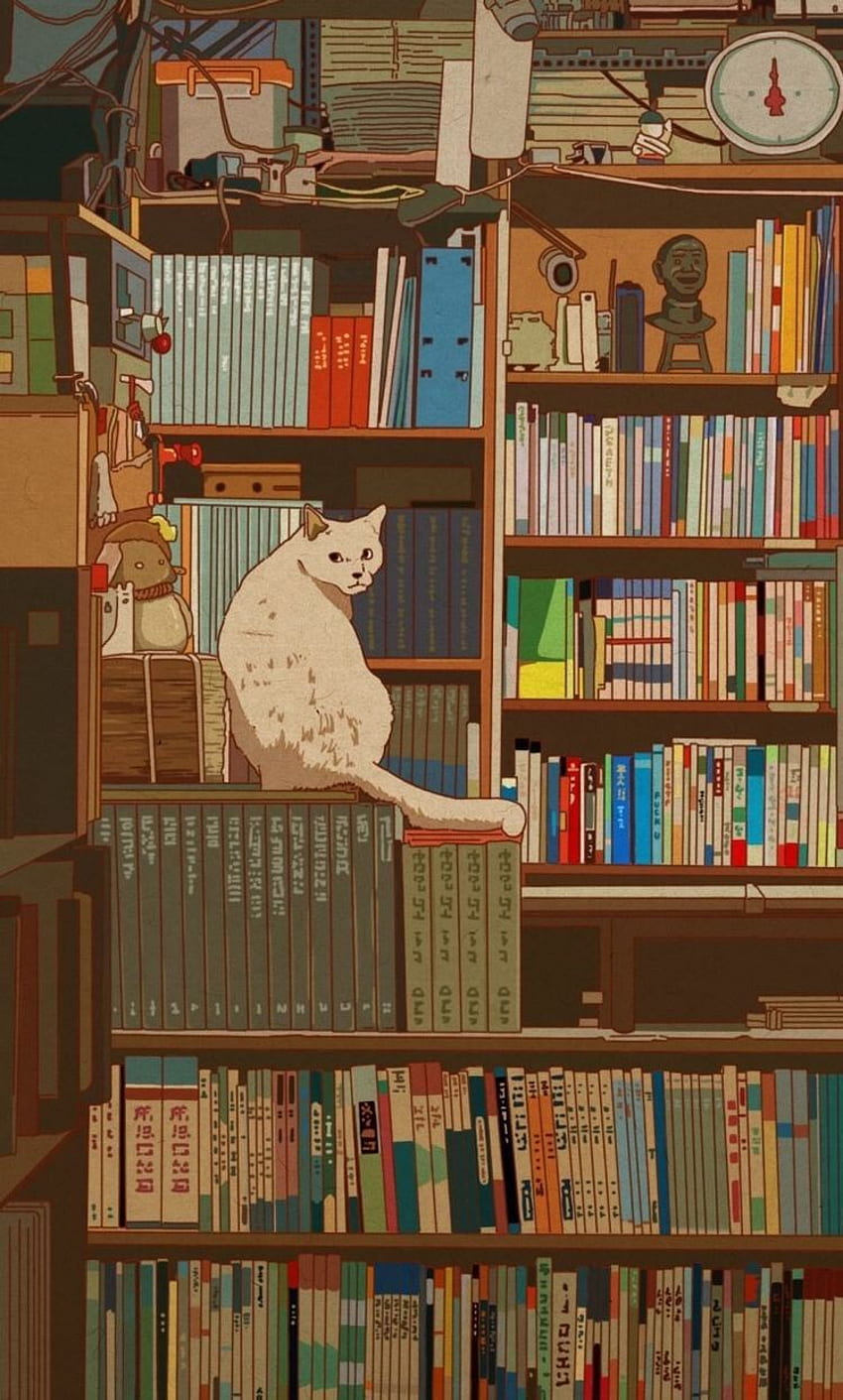 O estetyce w klimatach anime, estetyce biblioteki Tapeta na telefon HD